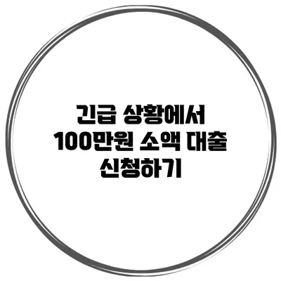 긴급 상황에서 100만원 소액 대출 신청하기