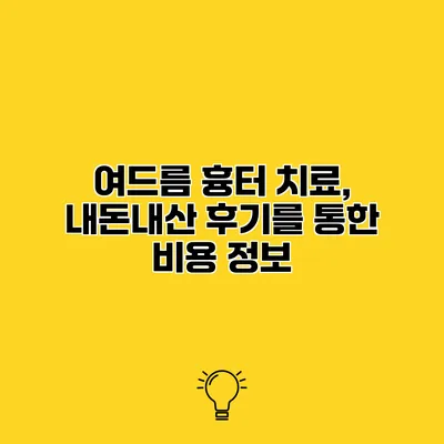 여드름 흉터 치료, 내돈내산 후기를 통한 비용 정보