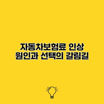 자동차보험료 인상 원인과 선택의 갈림길