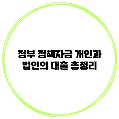 정부 정책자금 개인과 법인의 대출 총정리
