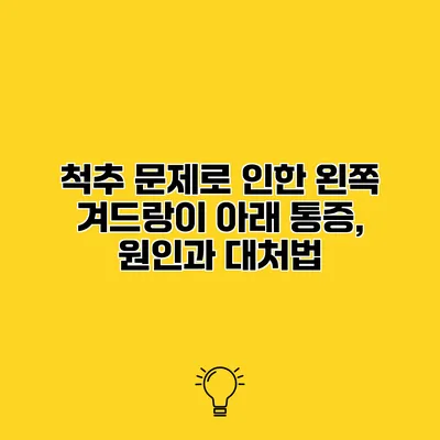 척추 문제로 인한 왼쪽 겨드랑이 아래 통증, 원인과 대처법